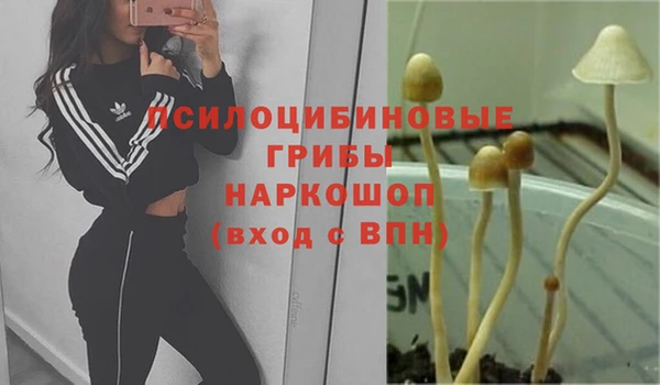 дурь Киренск