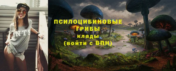 дурь Киренск