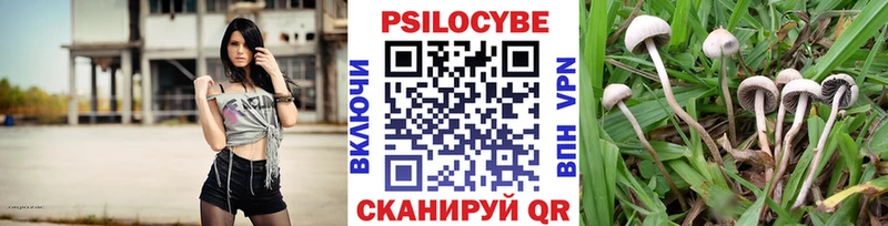 Псилоцибиновые грибы GOLDEN TEACHER Дыгулыбгей