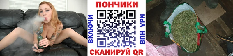 где найти наркотики  Дыгулыбгей  Бошки марихуана Bruce Banner 